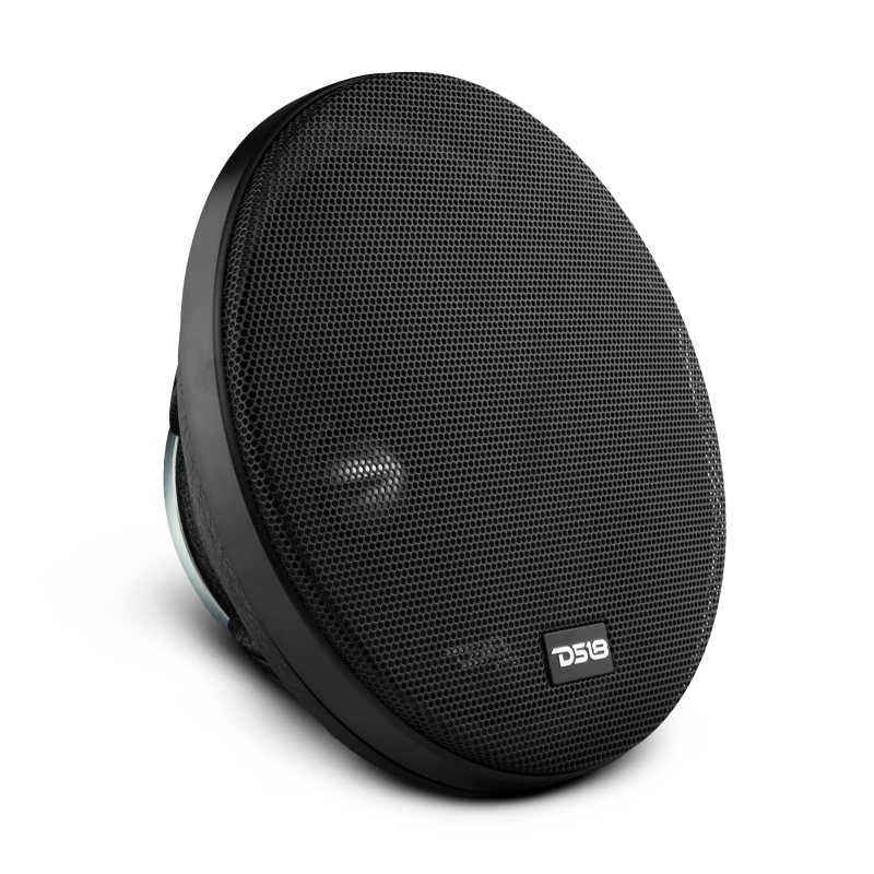 DS18 8in Full-Range Speaker - 250W RMS, 4 Ohm - PRO-FR8NEO