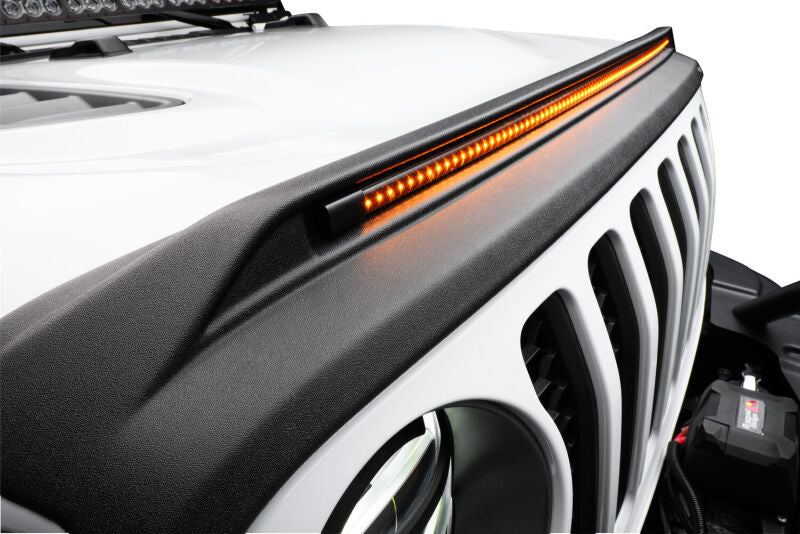 Husky Liners Hood & Light Protector 2820168