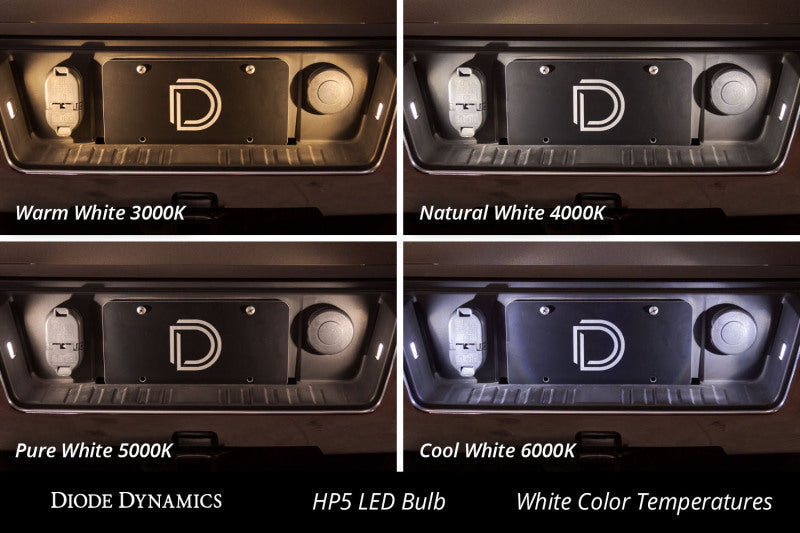 Diode Dynamics 194 LED Bulb HP5 LED Natural - White (Pair) - DD0028P - view 3