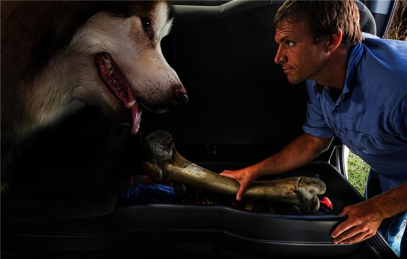 Husky Liners Under-Seat Storage Box 09211 3